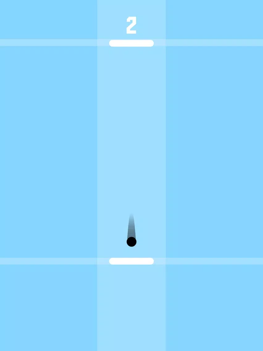 Paddle Bounce - Switch Black And White Color iPad Screenshots