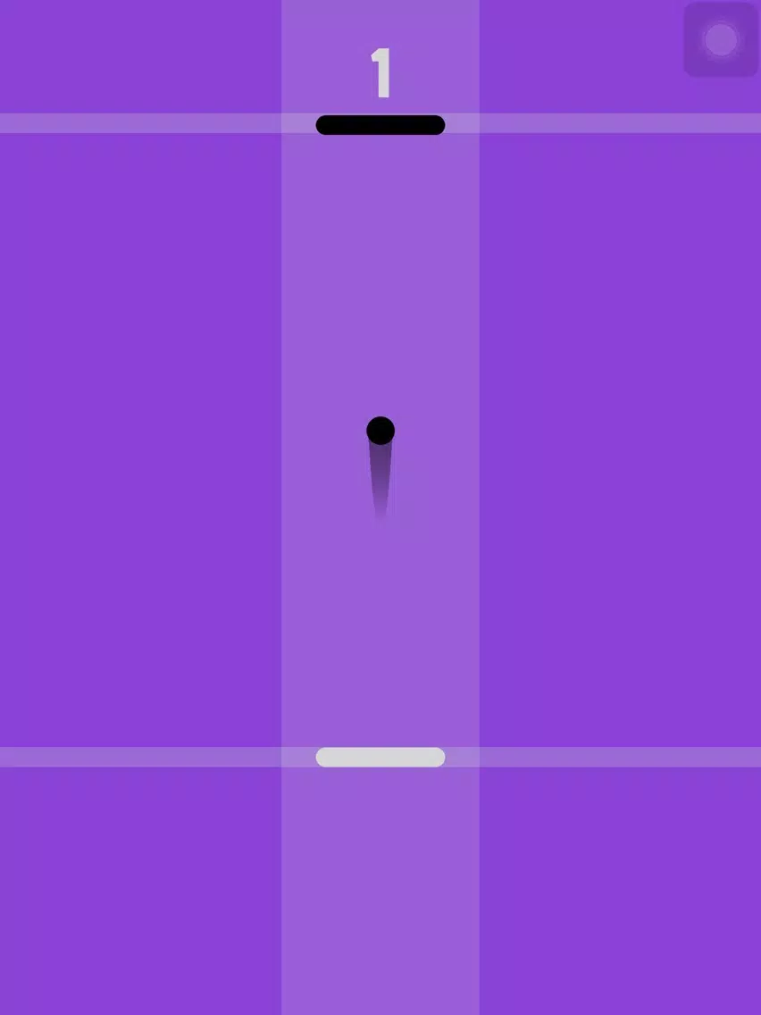 Paddle Bounce - Switch Black And White Color iPad Screenshots