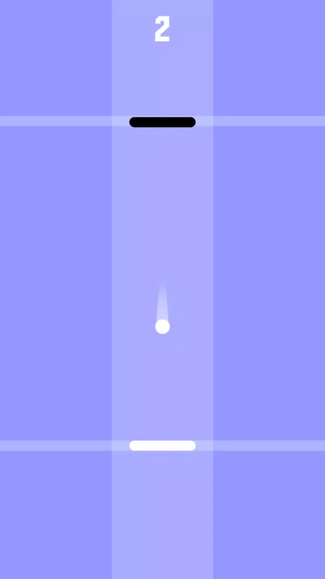 Paddle Bounce - Switch Black And White Color Screenshots