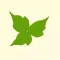 Lovely Ivy Stickers