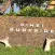 Kihei Surfside
