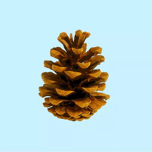 Pine Cone Stickers Pine Cone Stickers