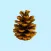 Pine Cone Stickers