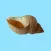 Seashell Stickers