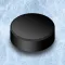 Hockey General Manager