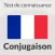 French Conjugation Test