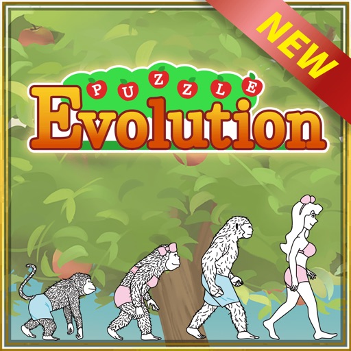 Puzzle Evolution Puzzle Evolution