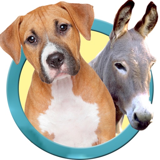 Animal Sounds And Pictures for Toddlers Animal Sounds And Pictures for Toddlers