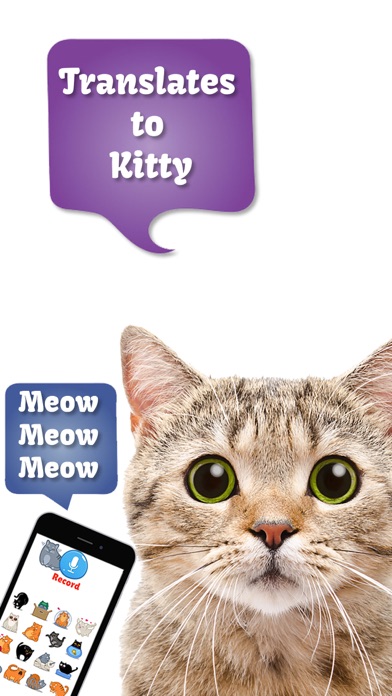 Cat Translate: talk to Kitten Screenshots