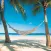 Retirement CountDown Ad Free