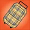 Bag Claim