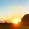 Daylight Pro