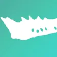 Crota Timer
