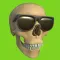 The Bone Zone