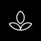 Emphasis: Flow & Focus Timer