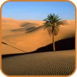 Largest Deserts