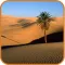 Largest Deserts