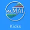 Gung Fu Kicks