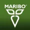 Maribo France