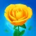 Flower Shop 3D