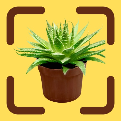 Plantsnap Plant Identifier Plantsnap Plant Identifier