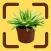 Plantsnap Plant Identifier