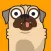 In Good Pun Pugs