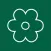 Pizza Flower