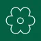 Pizza Flower