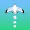 Appy Bird