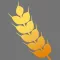 Fermenticus Brew Log