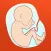 Hava a Baby - Your pregnancy assistant