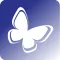 Butterfly Dictionary