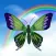 Flutter Butterfly - Fly through the flower garden