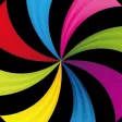 Color Collocation Manual