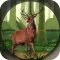 Big Deer Target