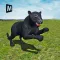 Revenge of Real Black Panther Simulator 3D