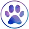 Mascotas - Cuida de tu mascota