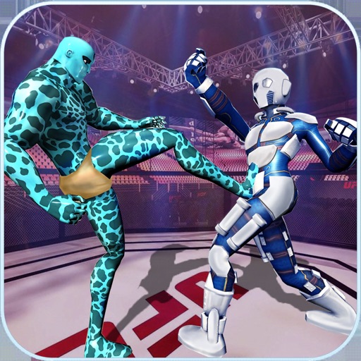 Robot vs Superhero Fighting 3D Robot vs Superhero Fighting 3D