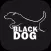 BlackDog Browser - Tube Master