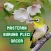Masteran Burung Pleci Gacor