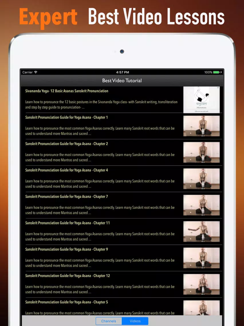 Sanskrit Yoga Skill-Tips and Tutorials iPad Screenshots