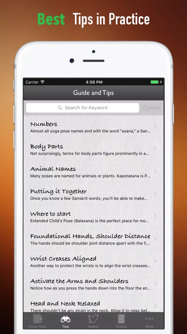 Sanskrit Yoga Skill-Tips and Tutorials Screenshots