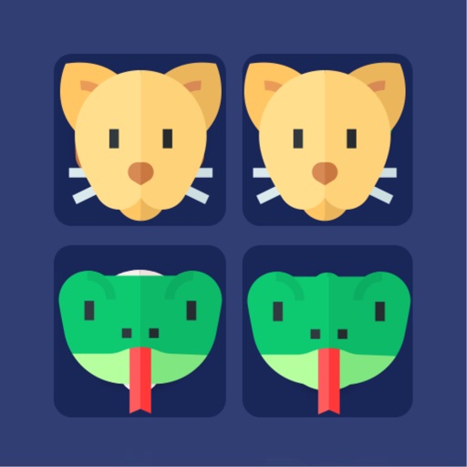Brain Game. Picture Match 2021 Brain Game. Picture Match 2021