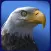 Eagle Wolf Dragon