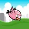 Bouncy Bird - Game
