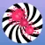 Filly Snake