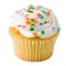 Cupcakes! Bake & Decorate