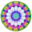 Zen Mover