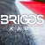 Briggs Kart Championship